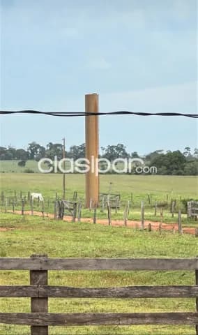 Establecimiento agroganadero de 517 htas.- zona itanara.- financio — foto 5