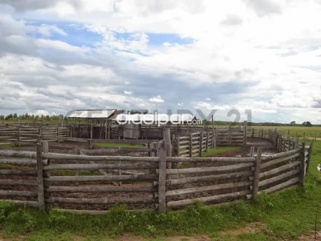 de Estancias/Ganaderas en Benjamín Aceval, Presidente Hayes — foto 3