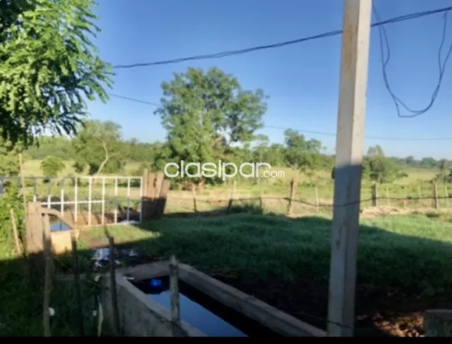 11 ha. Granja familiar en santa rosa del aguaray, foto 2