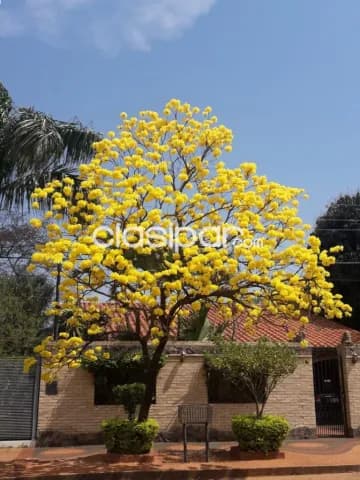 En Venta Espacioso Casa situado en el Barrio La Amistad de la ciudad de Luque ✨🤩 — foto 3