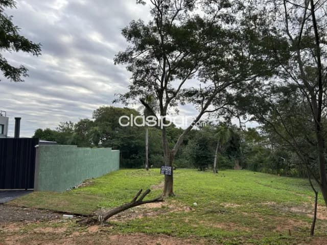 2 terrenos juntos en Luque barrio cerrado don david zona aeropuerto internacional — foto 5
