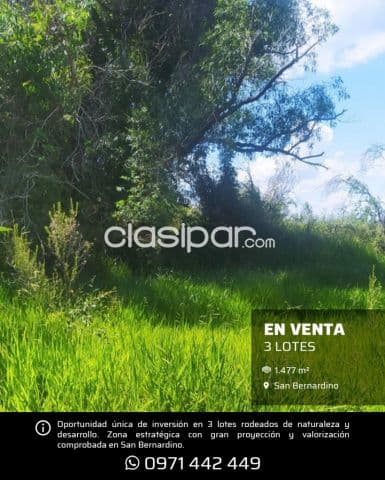 3 lotes en San Bernardino, total 1.477m² de superficie en zona premium