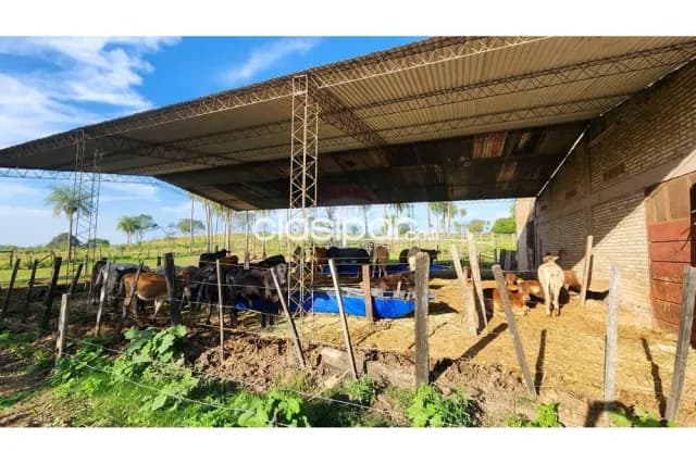 Terreno - Venta - Paraguay Paraguarí General Bernardino Caballero — foto 5
