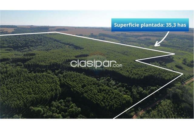 Terreno - Venta - Paraguay Itapúa Trinidad