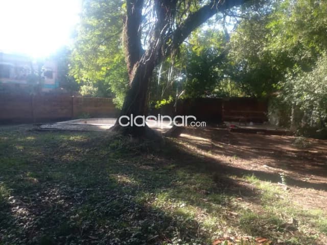 En venta Terreno de 3.821 m2., en Lambaré, foto 4
