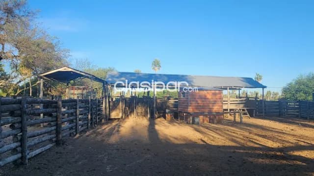 Fortín caballero, ruta ñ: 1.200 has, altamente ganaderas en funcionamiento + equipamientos — foto 3