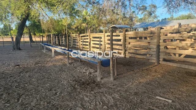 Fortín caballero, ruta ñ: 1.200 has, altamente ganaderas en funcionamiento + equipamientos — foto 5