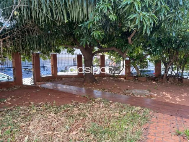 Zona col. Cristo rey, encarnacion: 486 m2 en esquina p/ reciclar o construccion en altura, foto 3