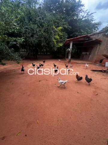 Paraguarí, oportunidad: 6 has, hermosa granja p/ producción y relax – 580.000.000 gs — foto 4