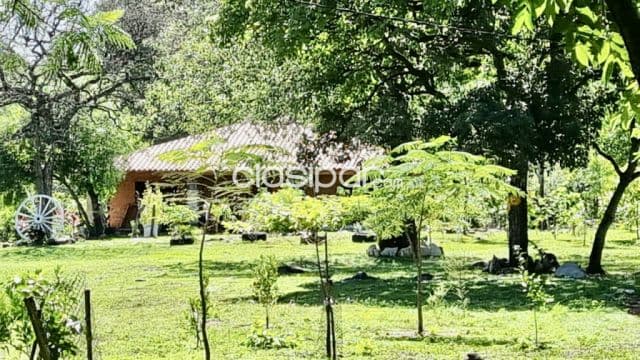 Belleza de casaquinta en emboscada-zona gujaibity, foto 1