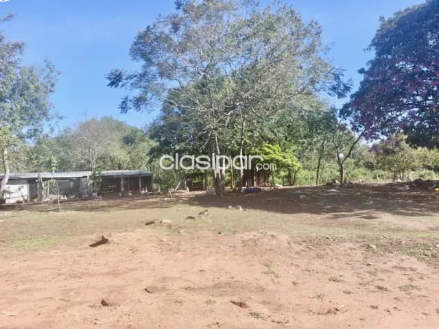 Belleza de casaquinta en emboscada-zona gujaibity, foto 4