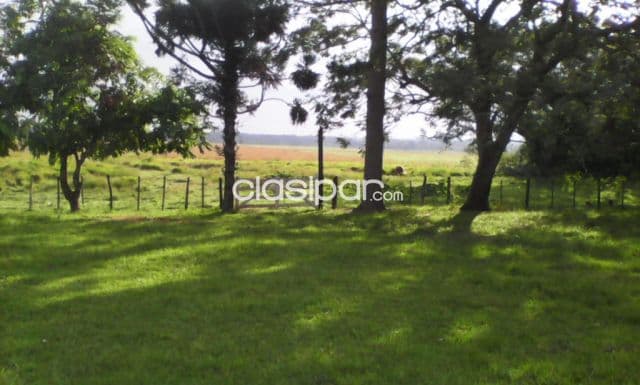 Caraguatay: 216 has, inmejorable campo en funcionamiento, c/ infraestructura, casa patrona, foto 1