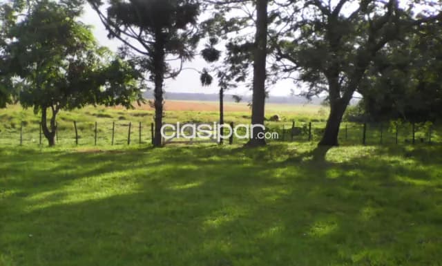 Caraguatay: 216 has, inmejorable campo en funcionamiento, c/ infraestructura, casa patrona, foto 2