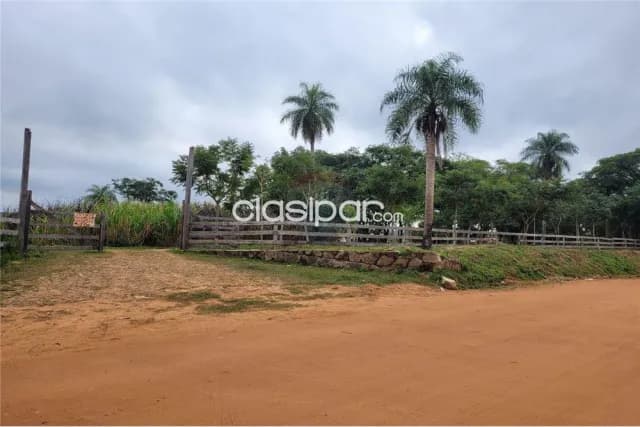 Granja en atyra - cordillera casi 10 hectareas- total 93.833 m2 — foto 2