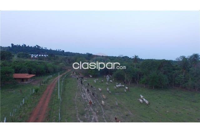 Campo 111 hectareas en arroyos y esteros c/256 m2 s/rio piribebuy p/uso mixto, foto 1