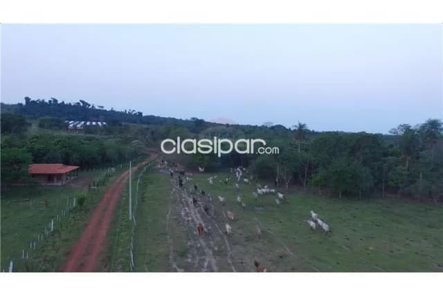 Campo 111 hectareas en arroyos y esteros c/256 m2 s/rio piribebuy p/uso mixto, foto 2