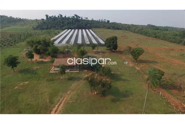Campo 111 hectareas en arroyos y esteros c/256 m2 s/rio piribebuy p/uso mixto, foto 3