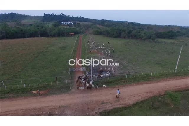 Campo 111 hectareas en arroyos y esteros c/256 m2 s/rio piribebuy p/uso mixto, foto 5