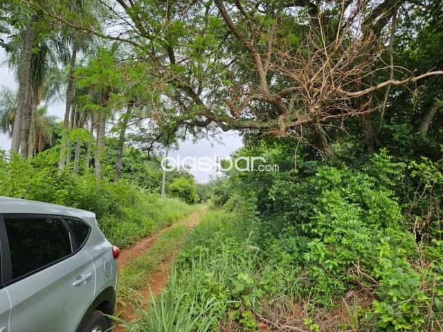 4 Hectáreas en Villeta, 400 mts sobre ruta — foto 4