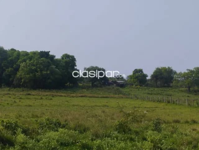 Campo con Salida al Rio Parana, foto 2