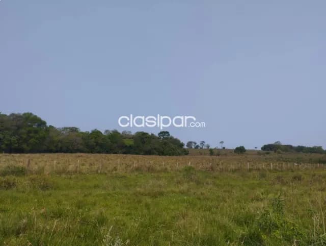Campo con Salida al Rio Parana, foto 3