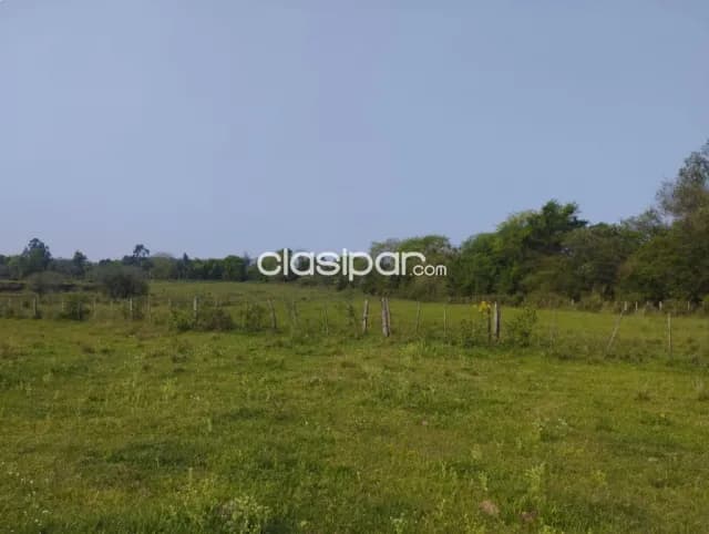 Campo con Salida al Rio Parana, foto 4