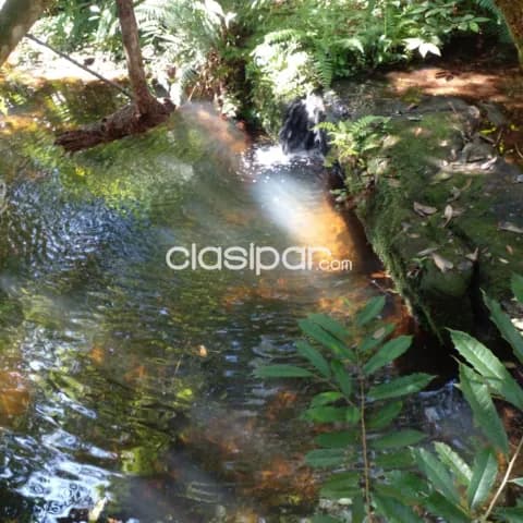 Terreno en venta en Piribebuy - Cerca de Chololo — foto 2