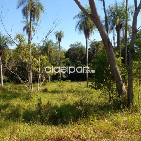 Terreno en venta en Piribebuy - Cerca de Chololo — foto 3