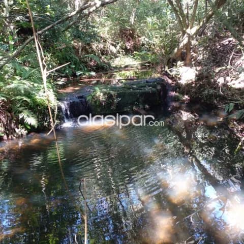 Terreno en venta en Piribebuy - Cerca de Chololo — foto 4