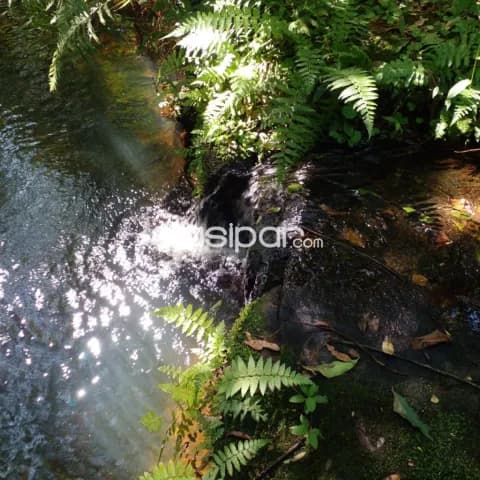 Terreno en venta en Piribebuy - Cerca de Chololo — foto 5