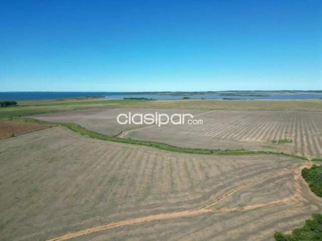 114 hectáreas – departamento de itapúa, paraguay — foto 2