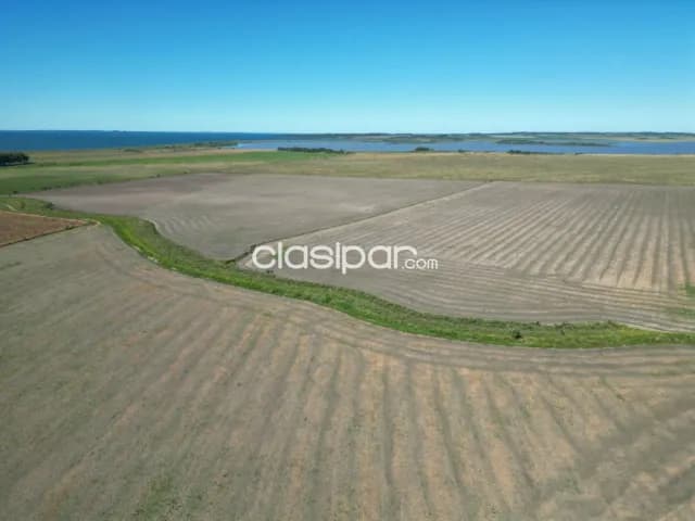 114 hectáreas – departamento de itapúa, paraguay — foto 3