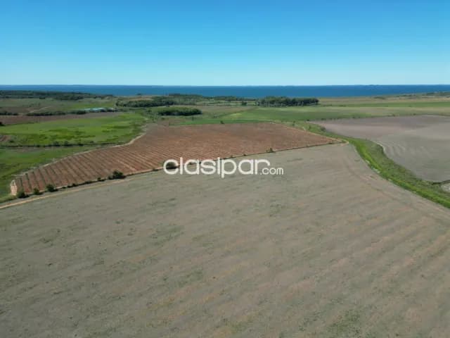 114 hectáreas – departamento de itapúa, paraguay — foto 4