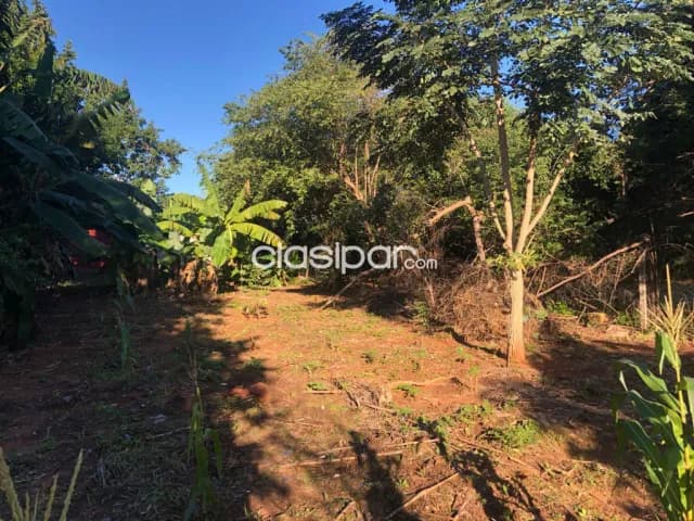 amplio terreno en inmejorable ubicacion de San Lorenzo, foto 5