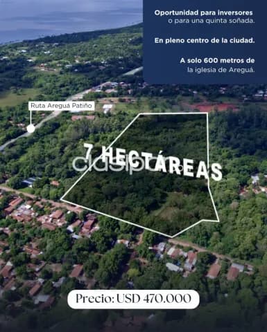 7 Hectáreas en Aregua centro, foto 3