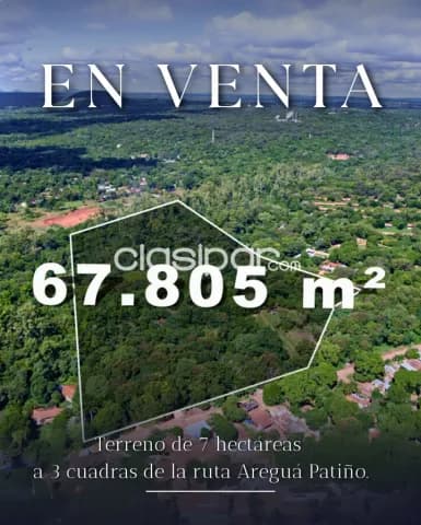 7 Hectáreas en Aregua centro, foto 4