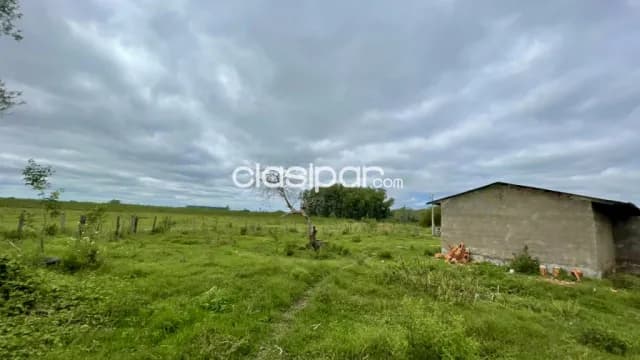 Granja en Primero de Marzo - 30 Ha — foto 2