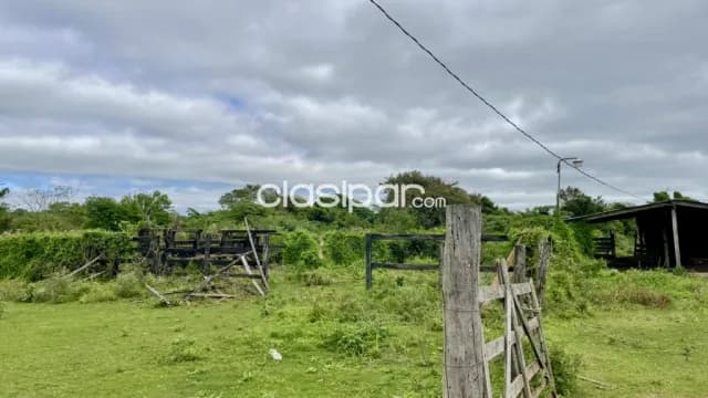 Granja en Primero de Marzo - 30 Ha — foto 3