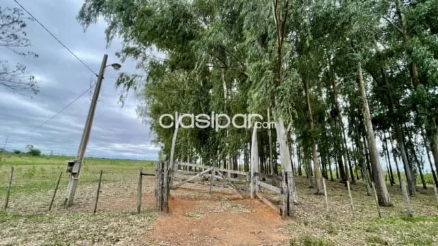 Granja en Primero de Marzo - 30 Ha — foto 4