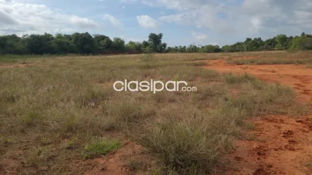 Terreno Rural en Benjamin Aceval - 5 Ha, foto 5
