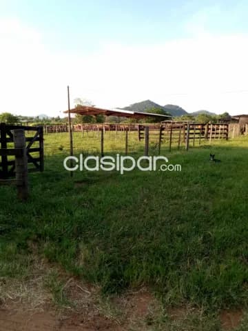 Escobar, paraguarí, s/ ruta: 139 has, aptas p/ explotación agro-ganadera, 1.300.000 usd — foto 3