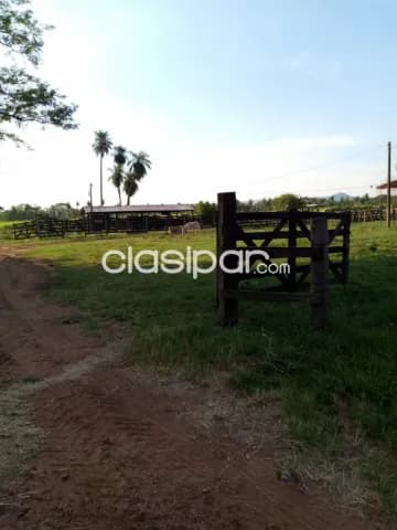 Escobar, paraguarí, s/ ruta: 139 has, aptas p/ explotación agro-ganadera, 1.300.000 usd — foto 4