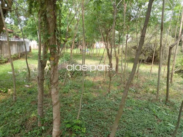 Terreno en el barrio san vicente de carapegua, foto 4