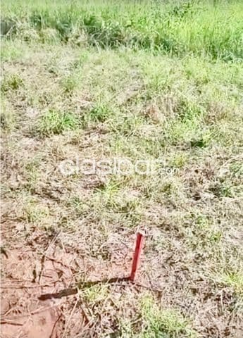 9 terrenos juntos en itaugua-zona hospital nacional, foto 1