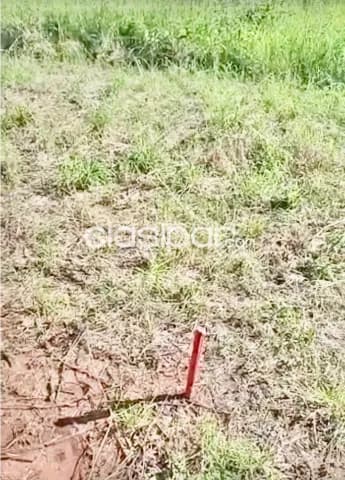 9 terrenos juntos en itaugua-zona hospital nacional, foto 2