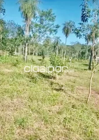 9 terrenos juntos en itaugua-zona hospital nacional, foto 3