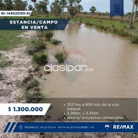 Hectareas en villa oliva — foto 2