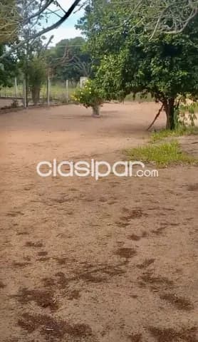 Terreno en escobar - dpto. Paraguari — foto 3