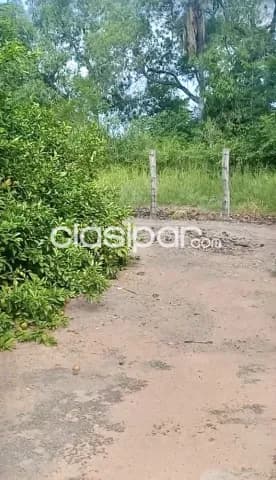 Terreno en escobar - dpto. Paraguari — foto 4