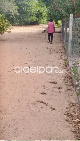 Terreno en escobar - dpto. Paraguari — foto 5